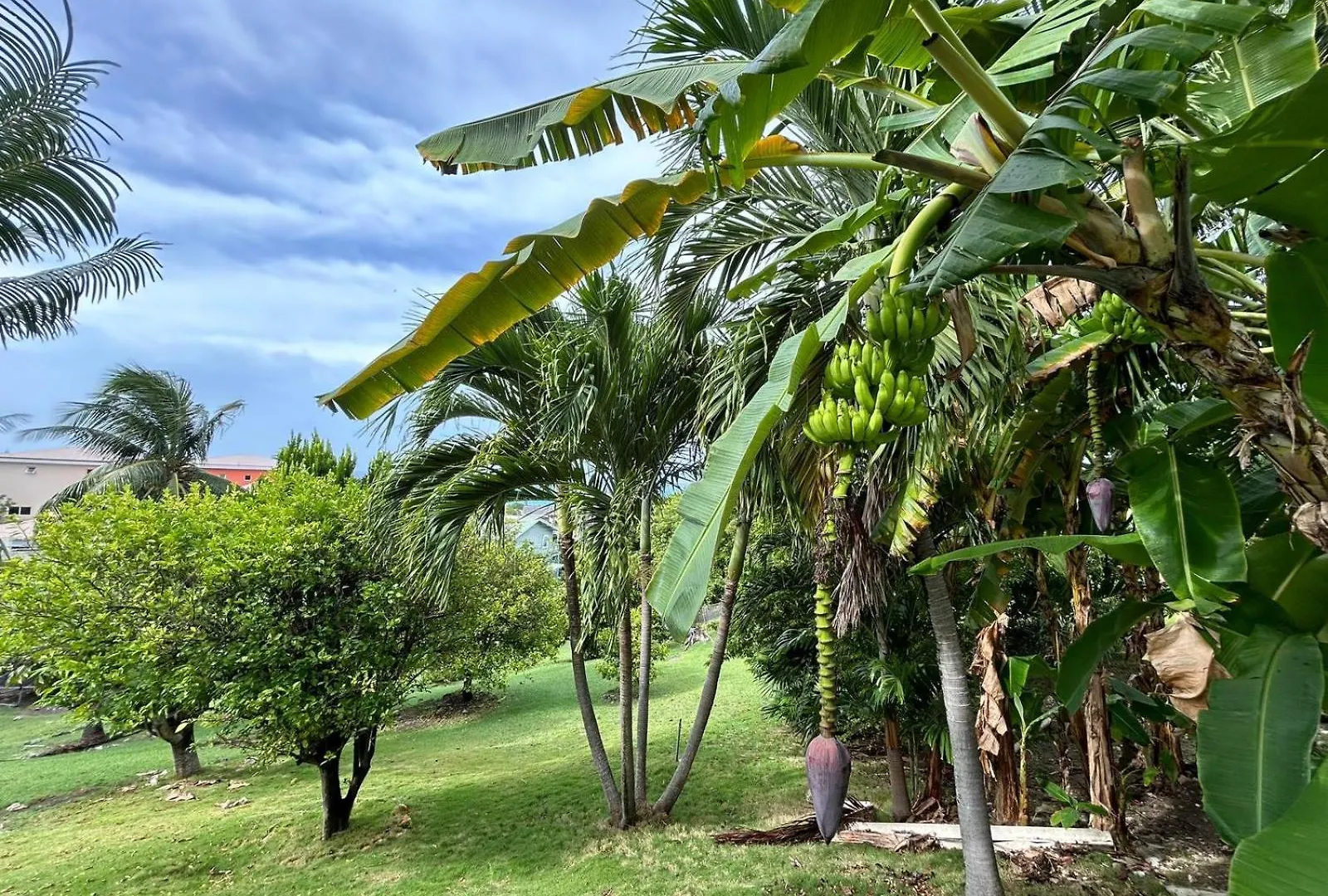 Labellevue Antigua Micro-Hotel And Car Rental Crosbies Guest house